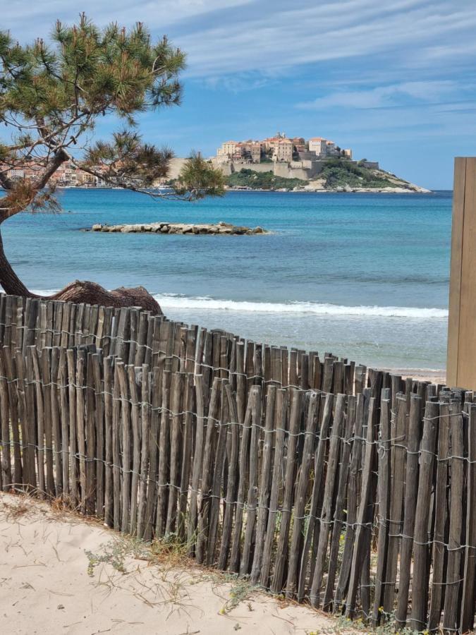 T2 Calvi entierement équipé à 150m de la plage. Calvi (Corsica) Exterior foto